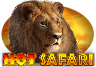 Hot Safari